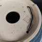 Preview: Bonsai - Tokoname Pot, Koyo