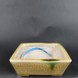 Preview: Bonsai - Tokoname Schale, Satomi
