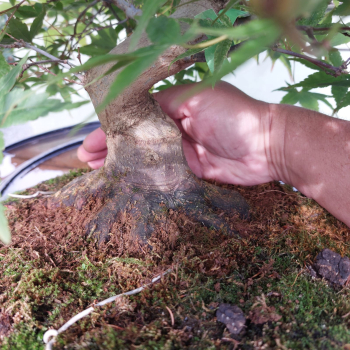 - Kopie - Kopie - Kopie - Kopie - Kopie - Kopie - Kopie - Kopie - Kopie - Kopie - Kopie - Kopie - Kopie - Kopie - Kopie