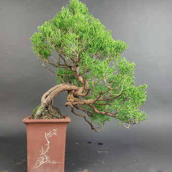 Preview: - Kopie - Kopie - Kopie - Kopie - Kopie - Kopie - Kopie - Kopie - Kopie - Kopie - Kopie - Kopie - Kopie - Kopie - Kopie - Kopie - Kopie - Kopie - Kopie - Kopie - Kopie - Kopie - Kopie - Kopie