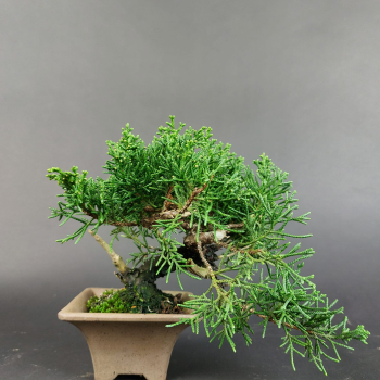 - Kopie - Kopie - Kopie - Kopie - Kopie - Kopie - Kopie - Kopie - Kopie - Kopie - Kopie - Kopie - Kopie - Kopie - Kopie - Kopie - Kopie - Kopie - Kopie