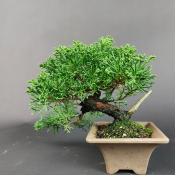 Preview: - Kopie - Kopie - Kopie - Kopie - Kopie - Kopie - Kopie - Kopie - Kopie - Kopie - Kopie - Kopie - Kopie - Kopie - Kopie - Kopie - Kopie - Kopie - Kopie