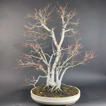 - Kopie - Kopie - Kopie - Kopie - Kopie - Kopie - Kopie - Kopie - Kopie - Kopie - Kopie - Kopie - Kopie - Kopie