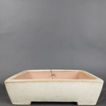 Bonsai - Tokoname Schale, Yamafusa