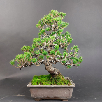 - Kopie - Kopie - Kopie - Kopie - Kopie - Kopie - Kopie - Kopie - Kopie - Kopie - Kopie - Kopie - Kopie - Kopie - Kopie - Kopie - Kopie - Kopie - Kopie - Kopie - Kopie - Kopie - Kopie - Kopie