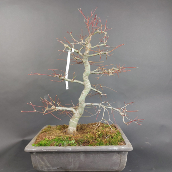 - Kopie - Kopie - Kopie - Kopie - Kopie - Kopie - Kopie - Kopie - Kopie - Kopie - Kopie - Kopie - Kopie - Kopie - Kopie - Kopie - Kopie - Kopie