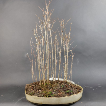 - Kopie - Kopie - Kopie - Kopie - Kopie - Kopie - Kopie - Kopie - Kopie - Kopie - Kopie - Kopie - Kopie - Kopie - Kopie - Kopie - Kopie - Kopie