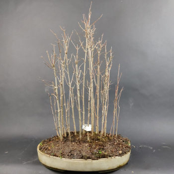 Preview: - Kopie - Kopie - Kopie - Kopie - Kopie - Kopie - Kopie - Kopie - Kopie - Kopie - Kopie - Kopie - Kopie - Kopie - Kopie - Kopie - Kopie - Kopie