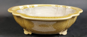 Preview: Bonsai - Tokoname Schale, Mazan