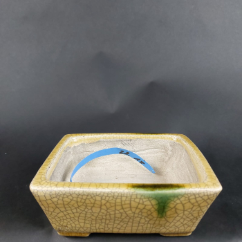 Preview: Bonsai - Tokoname Schale, Satomi