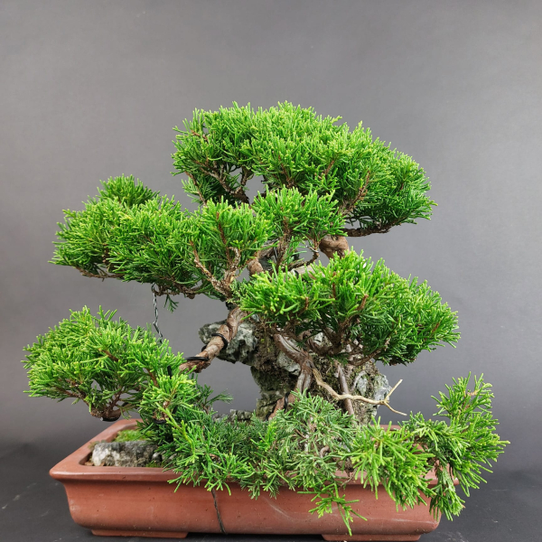 - Kopie - Kopie - Kopie - Kopie - Kopie - Kopie - Kopie - Kopie - Kopie - Kopie - Kopie - Kopie - Kopie - Kopie - Kopie - Kopie - Kopie - Kopie - Kopie - Kopie - Kopie - Kopie - Kopie - Kopie - Kopie - Kopie - Kopie - Kopie - Kopie - Kopie