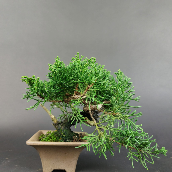 - Kopie - Kopie - Kopie - Kopie - Kopie - Kopie - Kopie - Kopie - Kopie - Kopie - Kopie - Kopie - Kopie - Kopie - Kopie - Kopie - Kopie - Kopie - Kopie