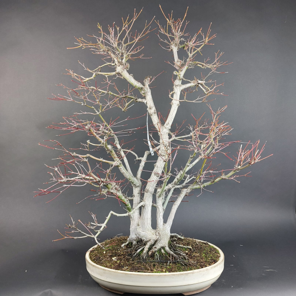 - Kopie - Kopie - Kopie - Kopie - Kopie - Kopie - Kopie - Kopie - Kopie - Kopie - Kopie - Kopie - Kopie - Kopie