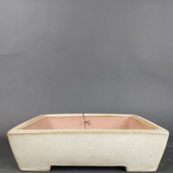 Bonsai - Tokoname Schale, Yamafusa