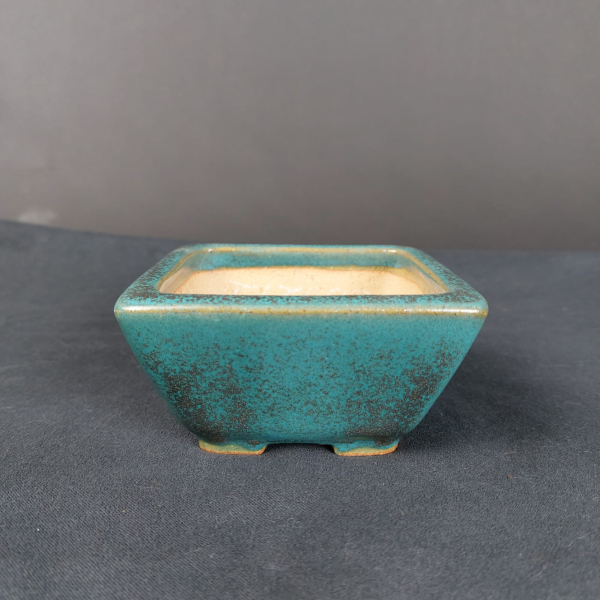 Bonsai - Tokoname Schale, Reiho