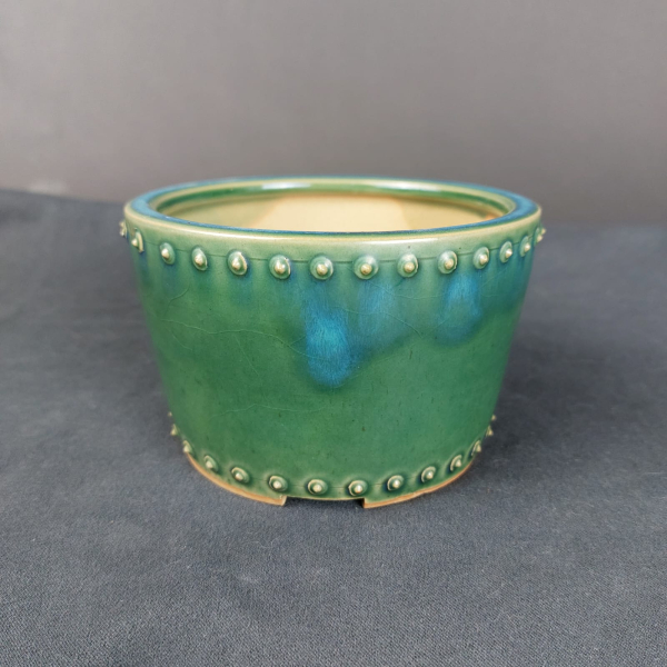 Bonsai - Tokoname Schale, Bigei