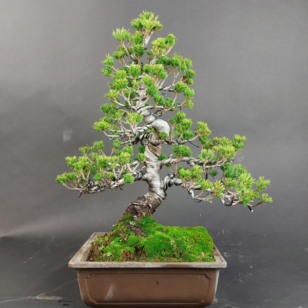 - Kopie - Kopie - Kopie - Kopie - Kopie - Kopie - Kopie - Kopie - Kopie - Kopie - Kopie - Kopie - Kopie - Kopie - Kopie - Kopie - Kopie - Kopie - Kopie - Kopie - Kopie - Kopie - Kopie - Kopie