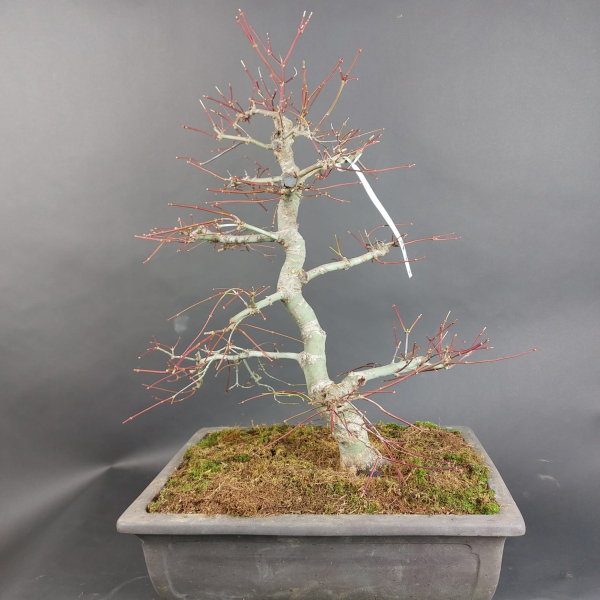 - Kopie - Kopie - Kopie - Kopie - Kopie - Kopie - Kopie - Kopie - Kopie - Kopie - Kopie - Kopie - Kopie - Kopie - Kopie - Kopie - Kopie - Kopie