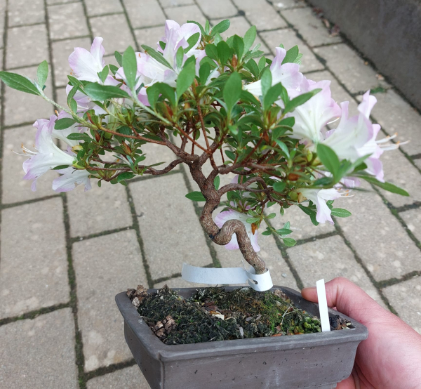 - Kopie - Kopie - Kopie - Kopie - Kopie - Kopie - Kopie - Kopie - Kopie - Kopie - Kopie - Kopie - Kopie - Kopie - Kopie - Kopie - Kopie - Kopie - Kopie - Kopie - Kopie - Kopie - Kopie - Kopie - Kopie - Kopie