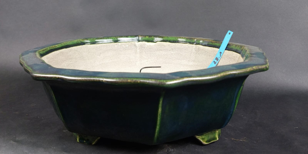 Bonsai - Tokoname Pot, Mazan