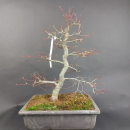 - Kopie - Kopie - Kopie - Kopie - Kopie - Kopie - Kopie - Kopie - Kopie - Kopie - Kopie - Kopie - Kopie - Kopie - Kopie - Kopie - Kopie - Kopie