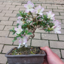 - Kopie - Kopie - Kopie - Kopie - Kopie - Kopie - Kopie - Kopie - Kopie - Kopie - Kopie - Kopie - Kopie - Kopie - Kopie - Kopie - Kopie - Kopie - Kopie - Kopie - Kopie - Kopie - Kopie - Kopie - Kopie - Kopie