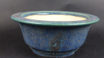 Bonsai - Tokoname Pot, Koyo